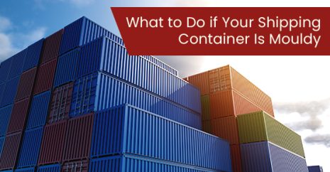 What to do if your shipping container is mouldy