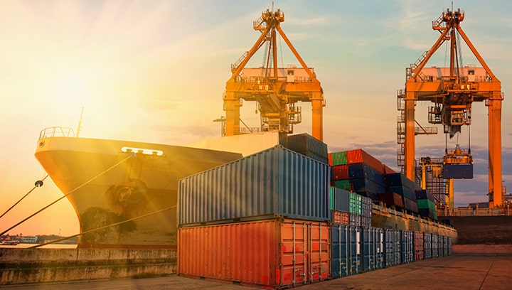 Shipping Container Supplier in Muskoka